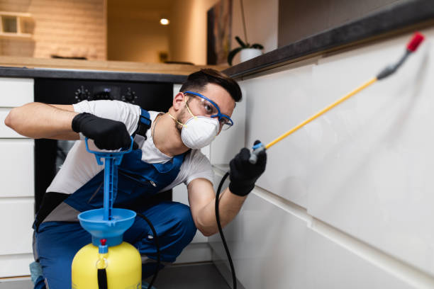 Best Bed Bug Extermination  in Pheasant Run, OH