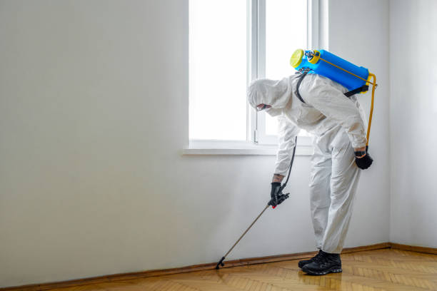 Best Exterminator Services  in Pheasant Run, OH