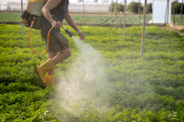 Pest Control for Restaurants in Pheasant Run, OH