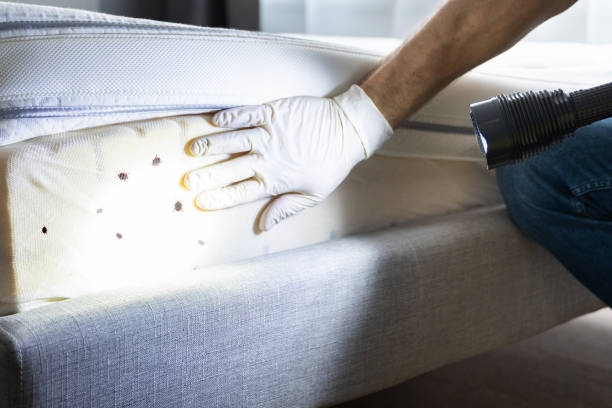 Best Emergency Pest Control  in Pheasant Run, OH