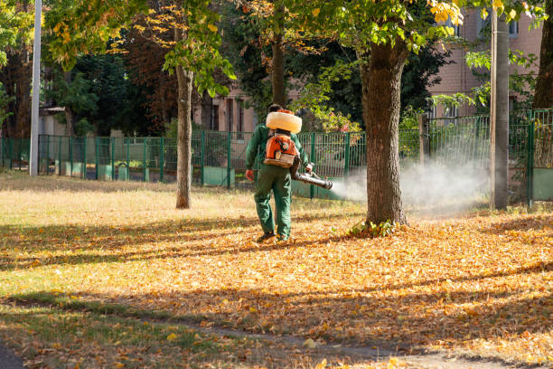 Best Local Pest Control Services  in Pheasant Run, OH