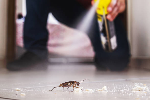Trusted Pheasant Run, OH Pest Control Experts